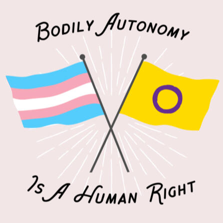 Bodily Autonomy is a Human Right Bodily Autonomy is a Human Right